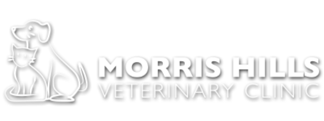 Morris Hills Veterinary Clinic