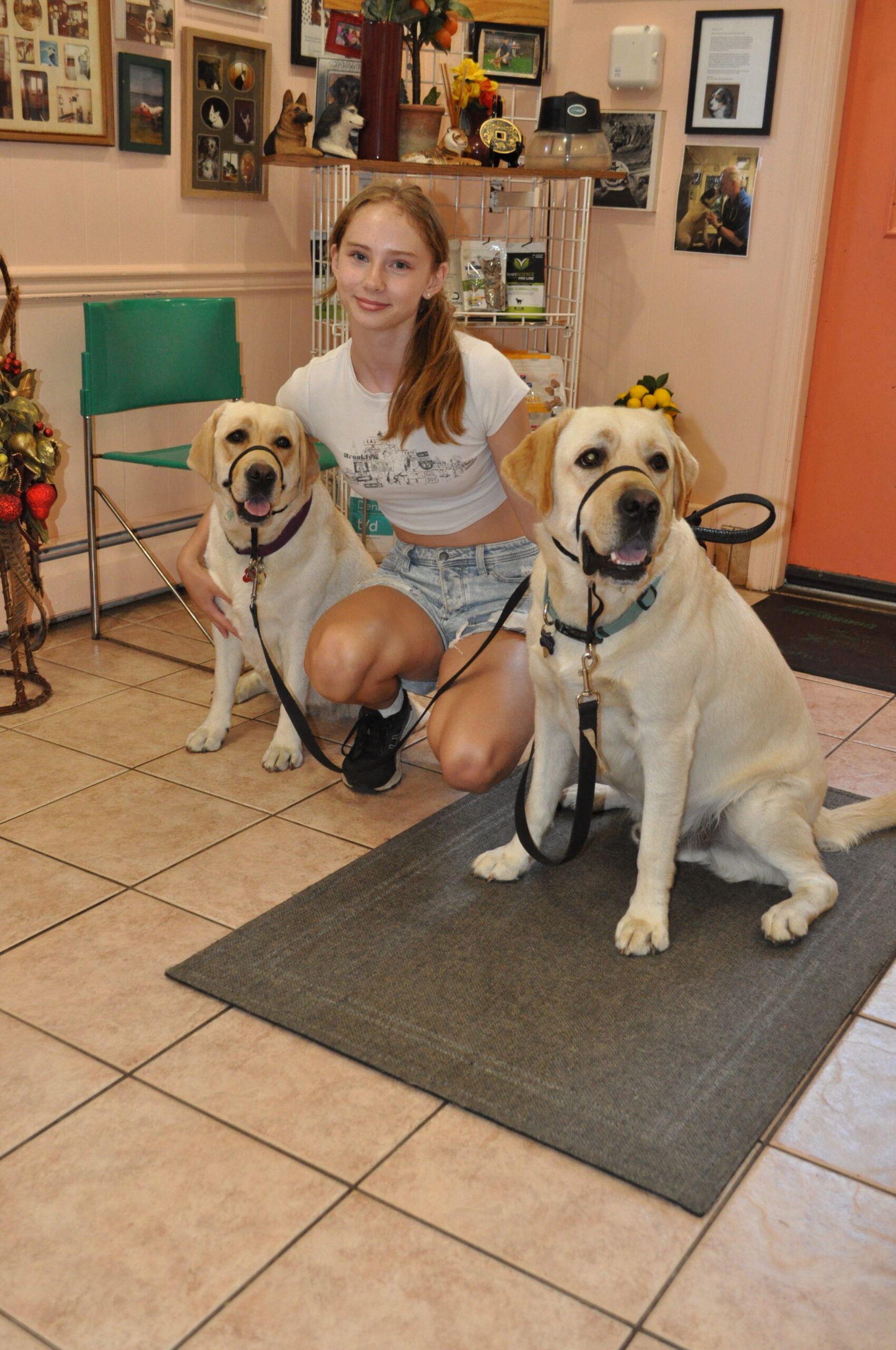 Dixie and Enzo! – Morris Hills Veterinary Clinic