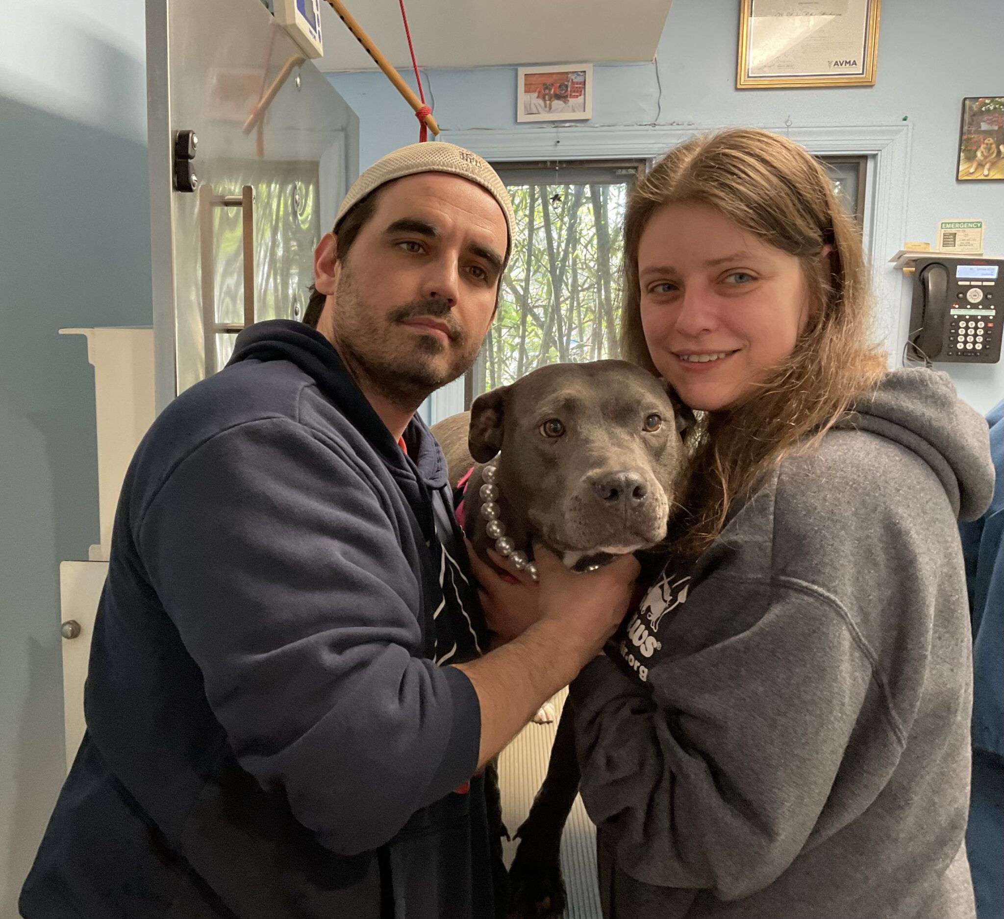 Riley! – Morris Hills Veterinary Clinic